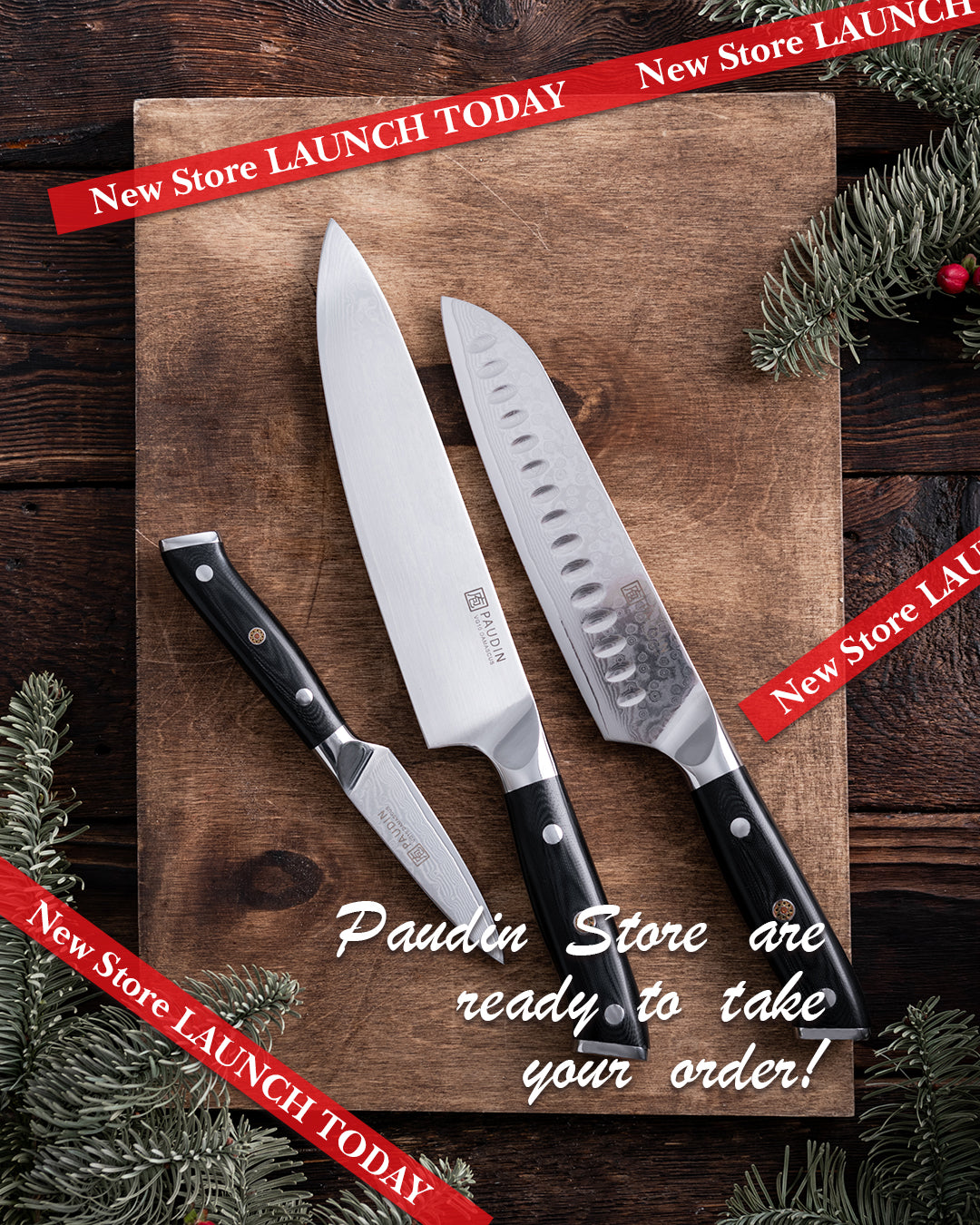Paudin NS2 3 Pcs Chef Knives Set – Paudin Store