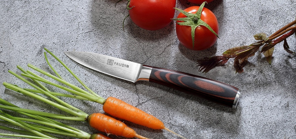 Paring Knife - PAUDIN 3.5 inch Kitchen Knife N8 German High Carbon Stainless Steel Knife, Fruit and Vegetable Cutting Chopping Carving Knives