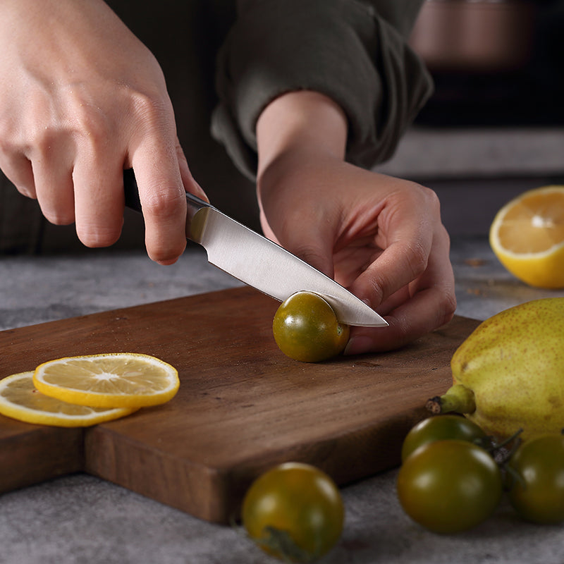 Qian 3.5 Inch Paring Knife