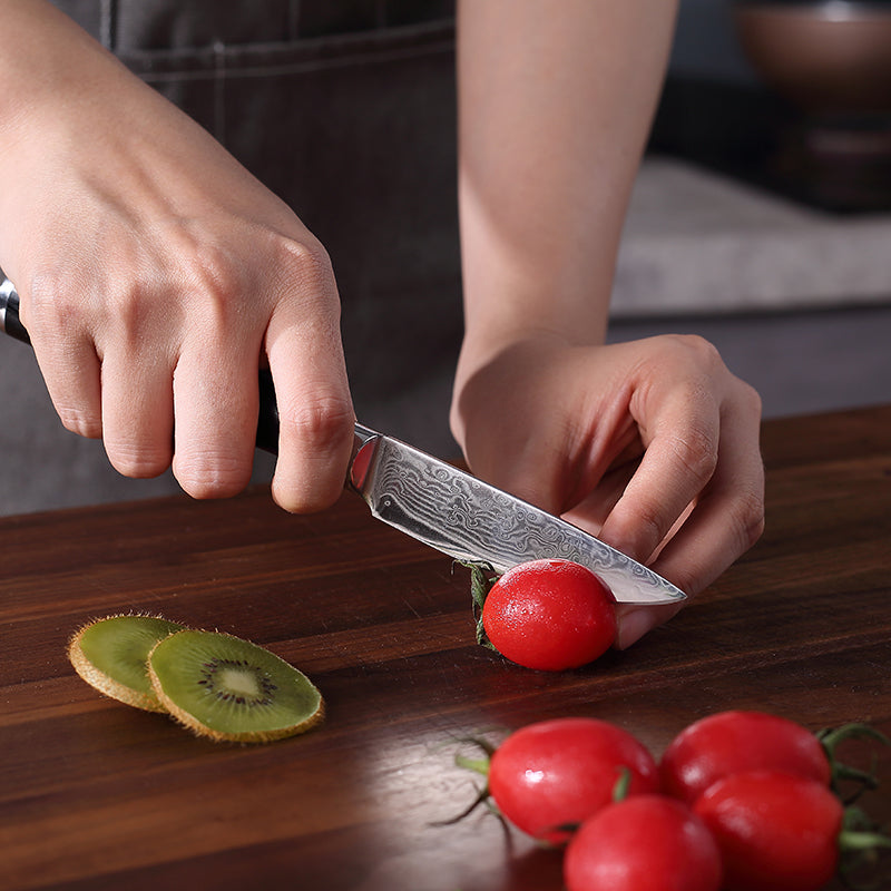 Qian Luxe 3.5 Inch Paring Knife