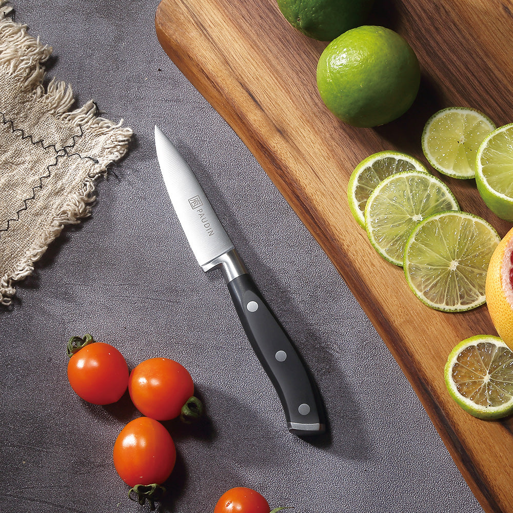Santiago 3.5" Paring Knife