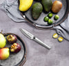 Refresh 3.5" Fruit Knife
